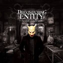 Decomposing Entity : Social Disease